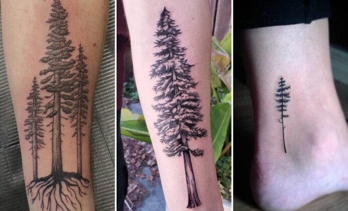 35+ Redwood Tree Tattoo Ideas Channeling Ancient Majestic Strength