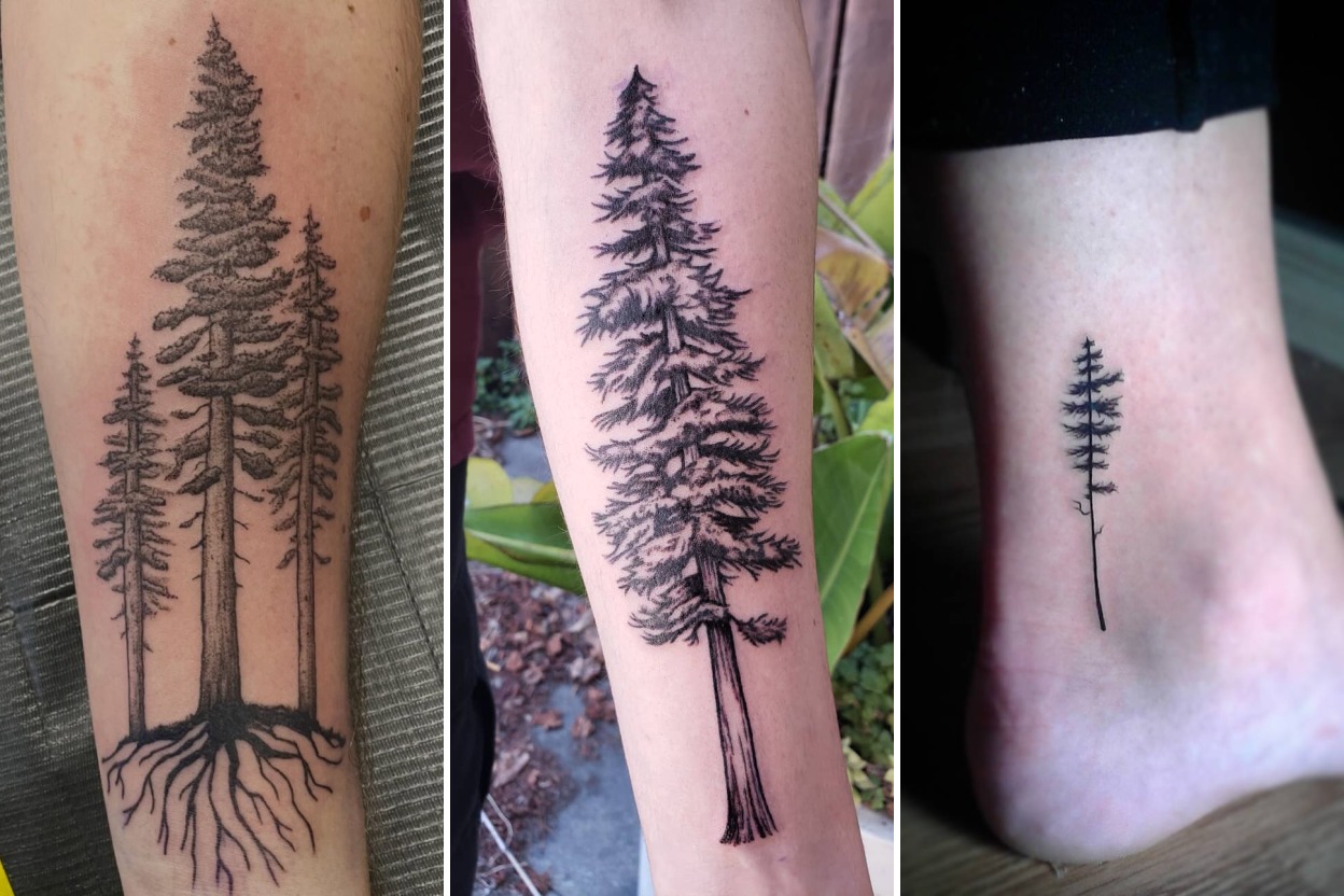35+ Redwood Tree Tattoo Ideas Channeling Ancient Majestic Strength Featured 3-Panel Lookbook Collage