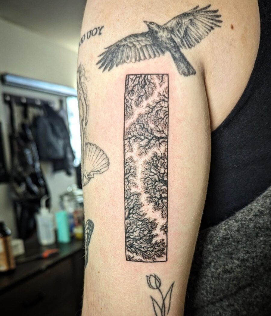 Intricate black ink redwood tree tattoo Tattoo on skin