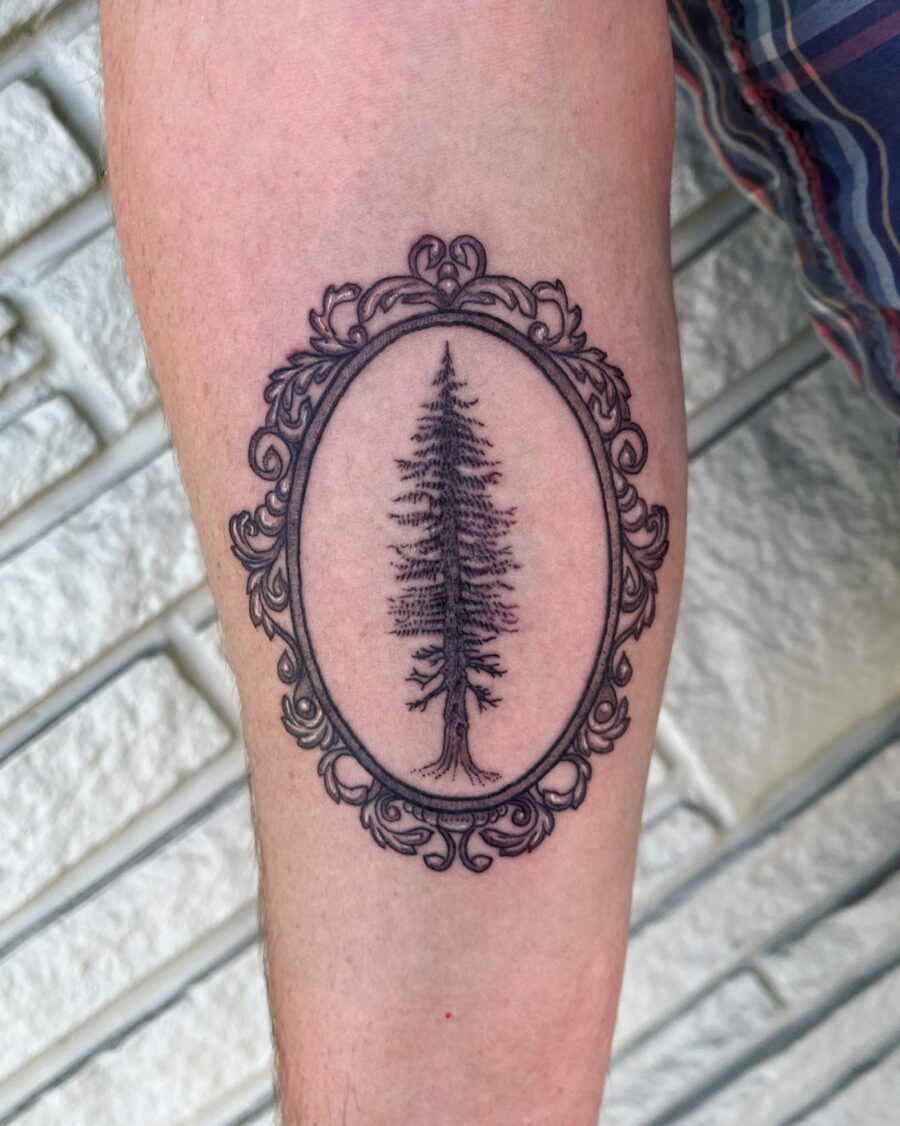 Intricate framed redwood tree tattoo design Tattoo on skin