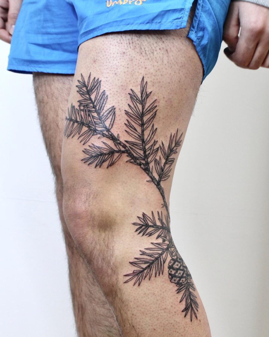 Intricate Redwood Tree Tattoo on Leg redwood tree tattoos