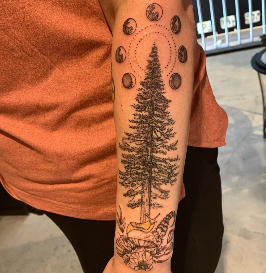 Intricate Redwood Tree with Moon Phases Tattoo on skin