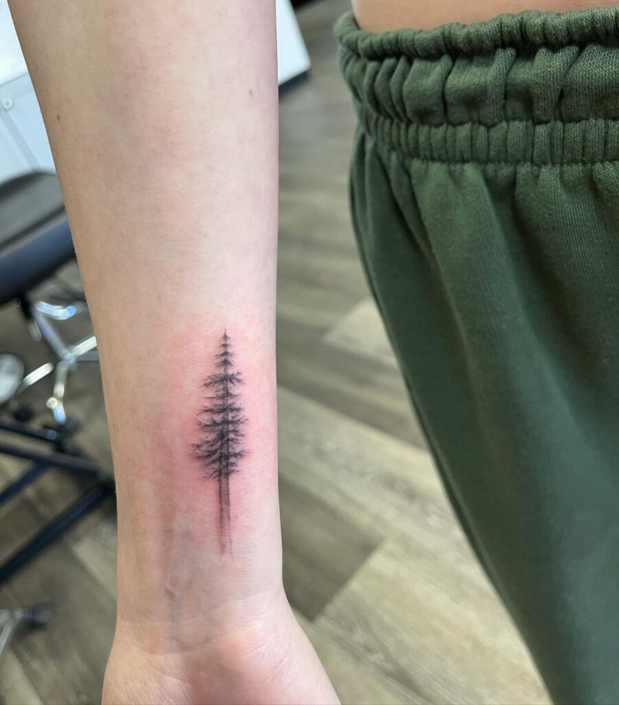 Minimalist Redwood Tree Tattoo Elegance Tattoo on skin
