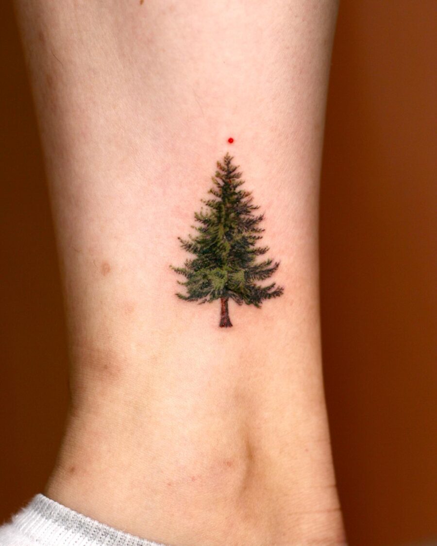 Minimalist Redwood Tree Tattoo on Ankle Tattoo on skin
