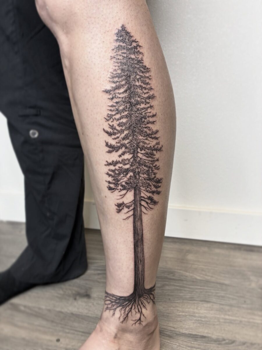 Stunning realist redwood tree tattoo on leg Tattoo on skin