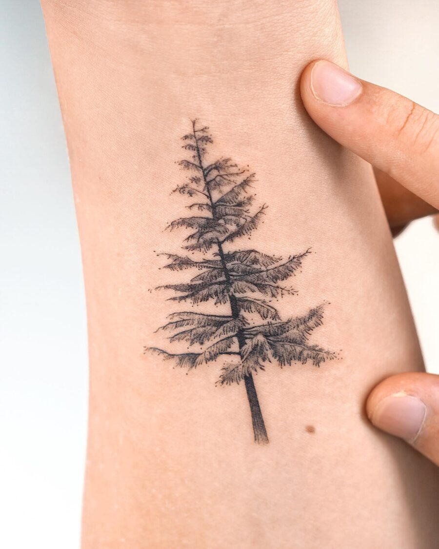 Stunning Realistic Redwood Tree Tattoo Design Tattoo on skin