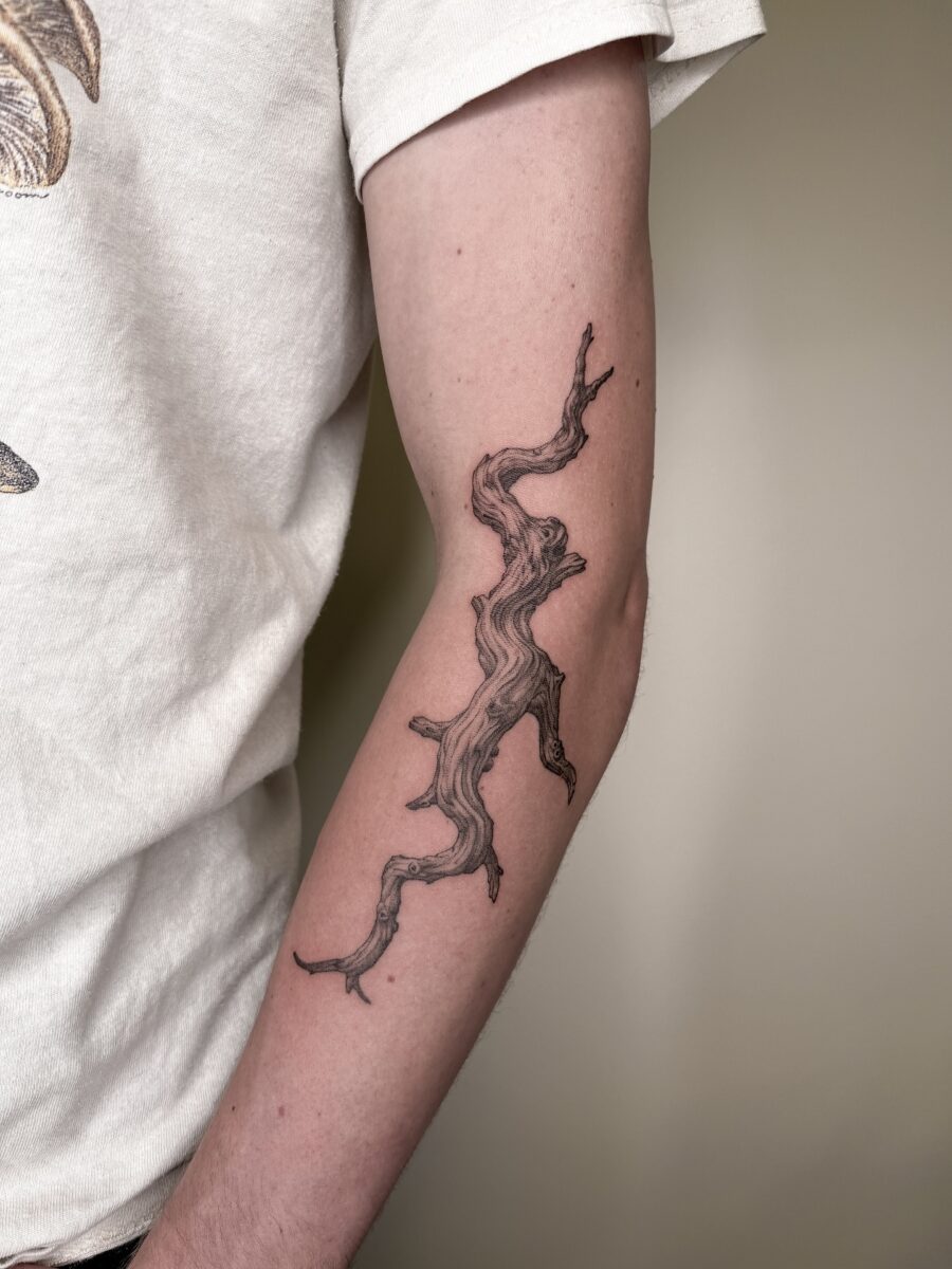 Stylish redwood tree branch tattoo design Tattoo on skin