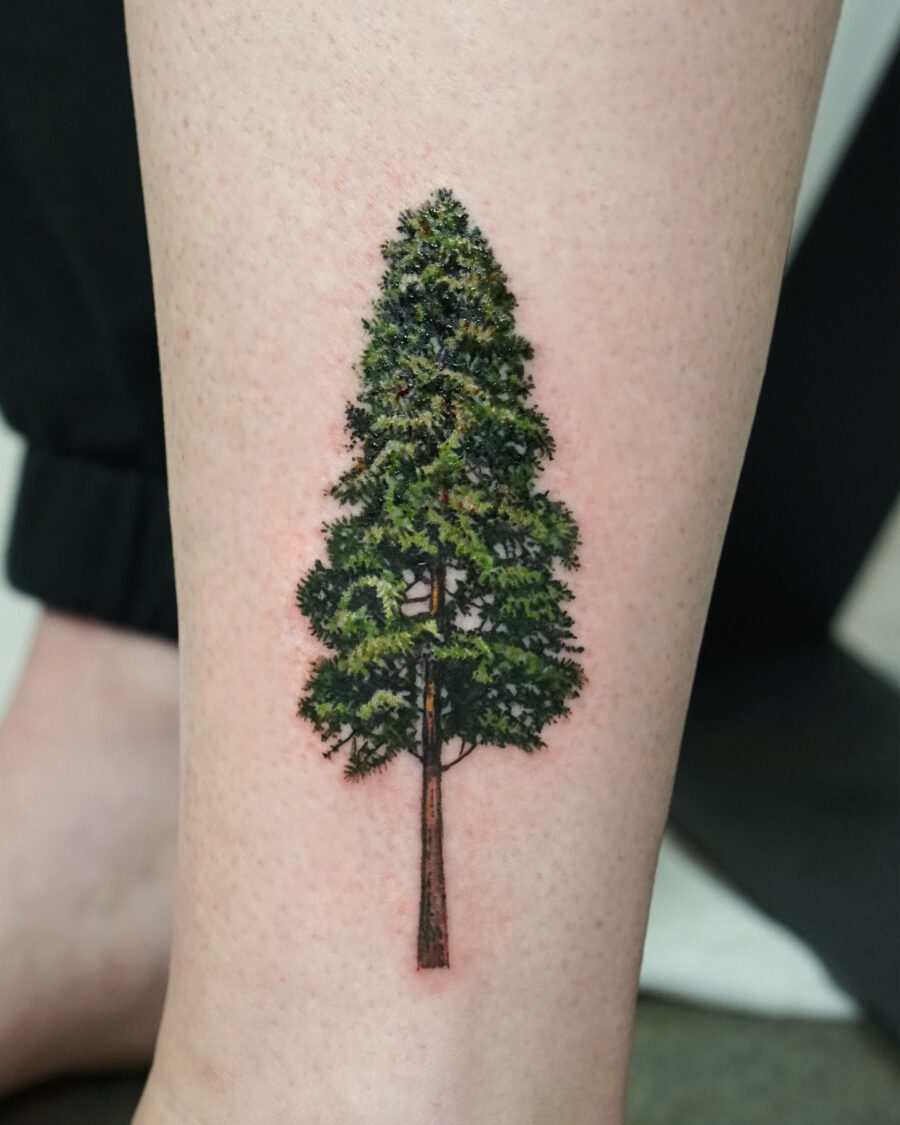 Vibrant depiction of a majestic redwood tree Tattoo on skin