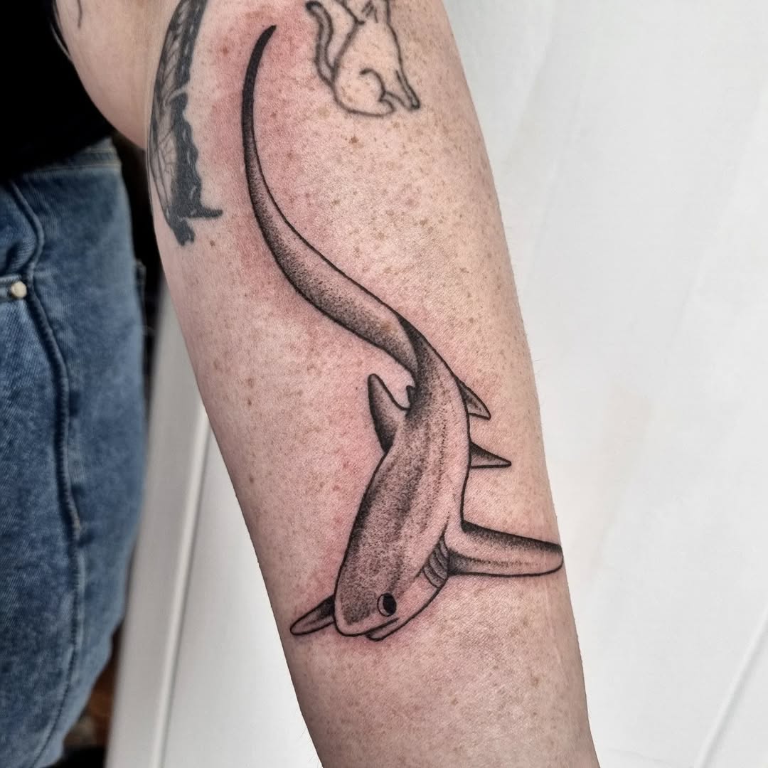 Elegant shark tattoo showcasing sleek design Tattoo on skin