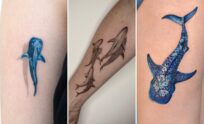 35+ Shark Tattoo Ideas Gliding With Fearless Oceanic Power