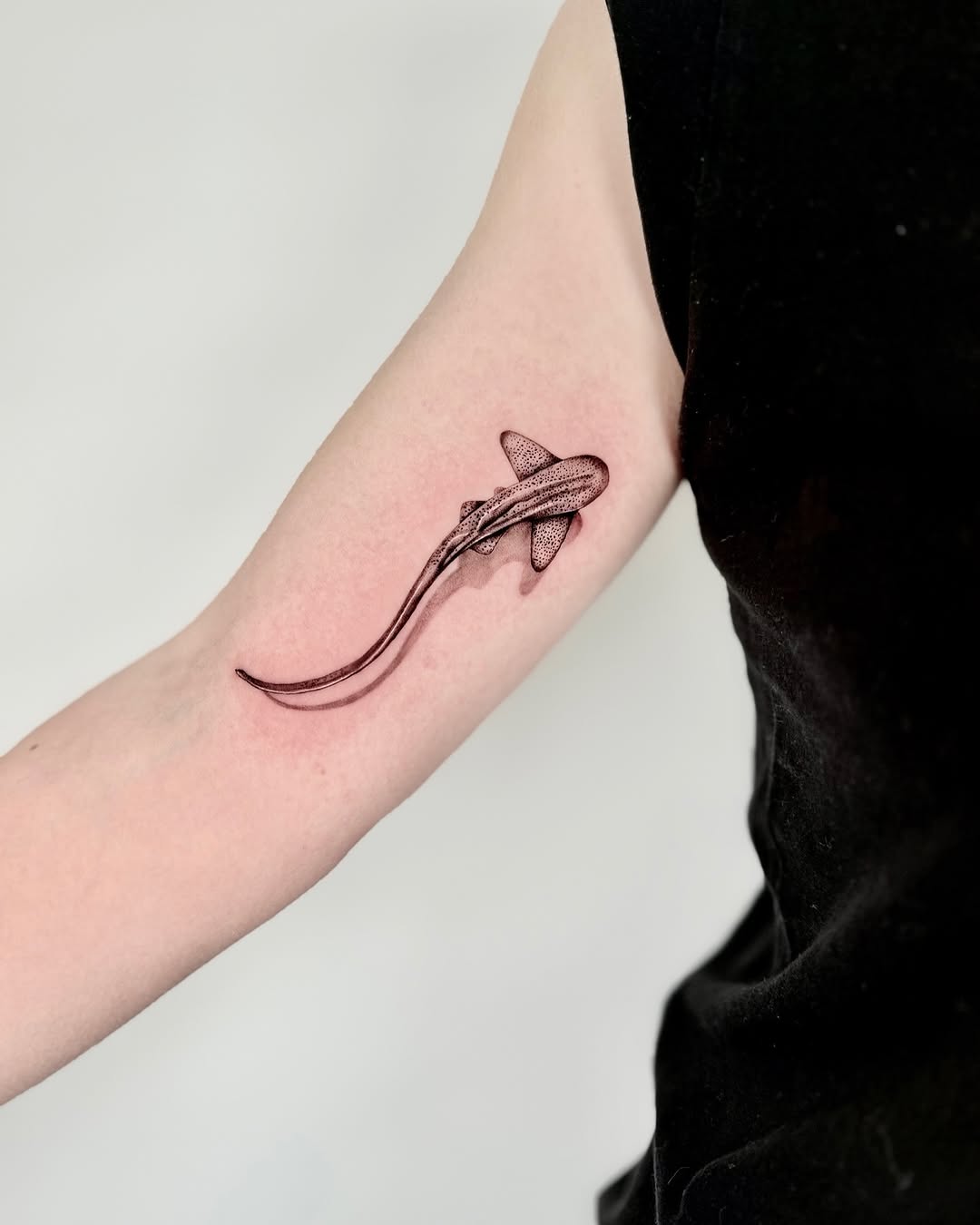 Minimalist shark tattoo in sleek monochrome style Tattoo on skin
