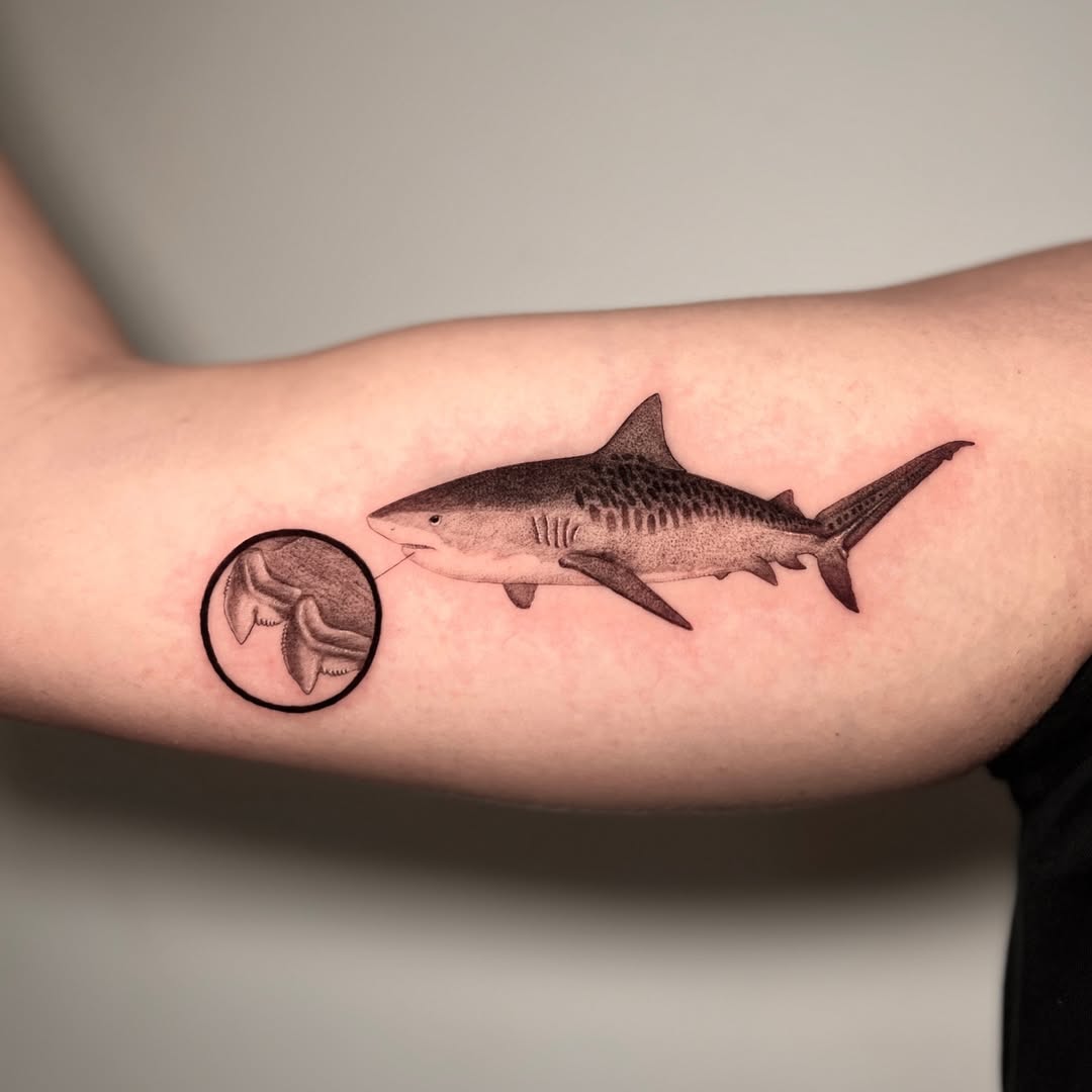 Realistic shark tattoo with inner detail circle Tattoo on skin
