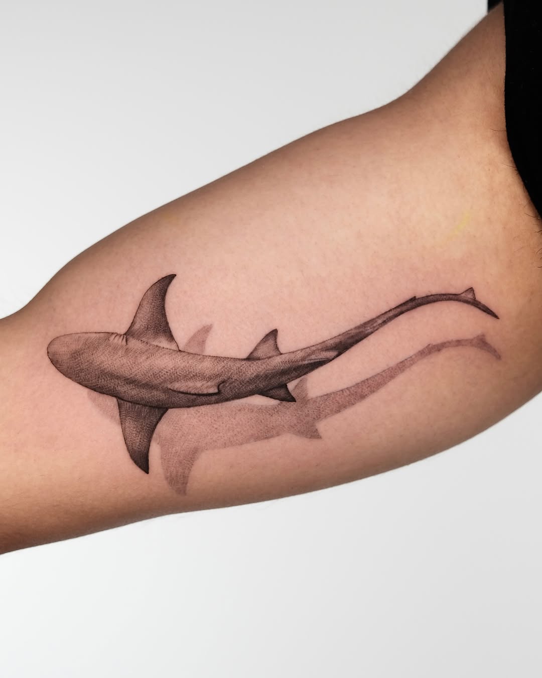 Sleek shark tattoo capturing underwater elegance Tattoo on skin