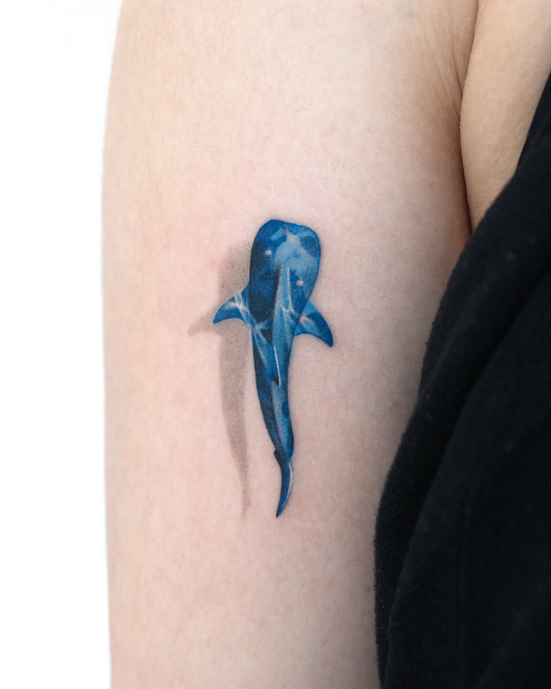 Stunning Blue Shark Tattoo on Arm Tattoo on skin