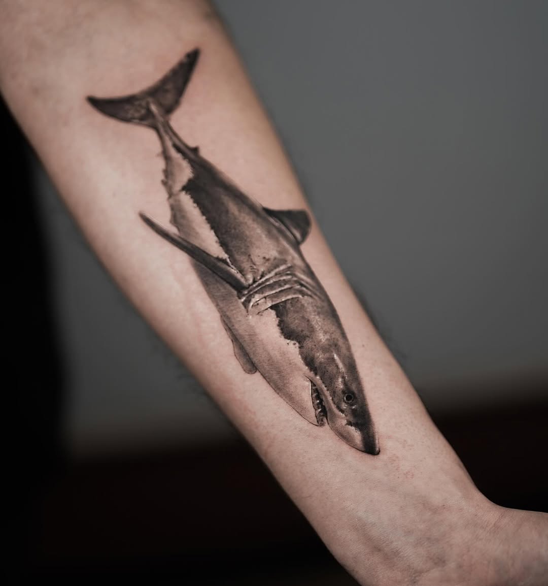 Stunning realistic shark tattoo on forearm Tattoo on skin