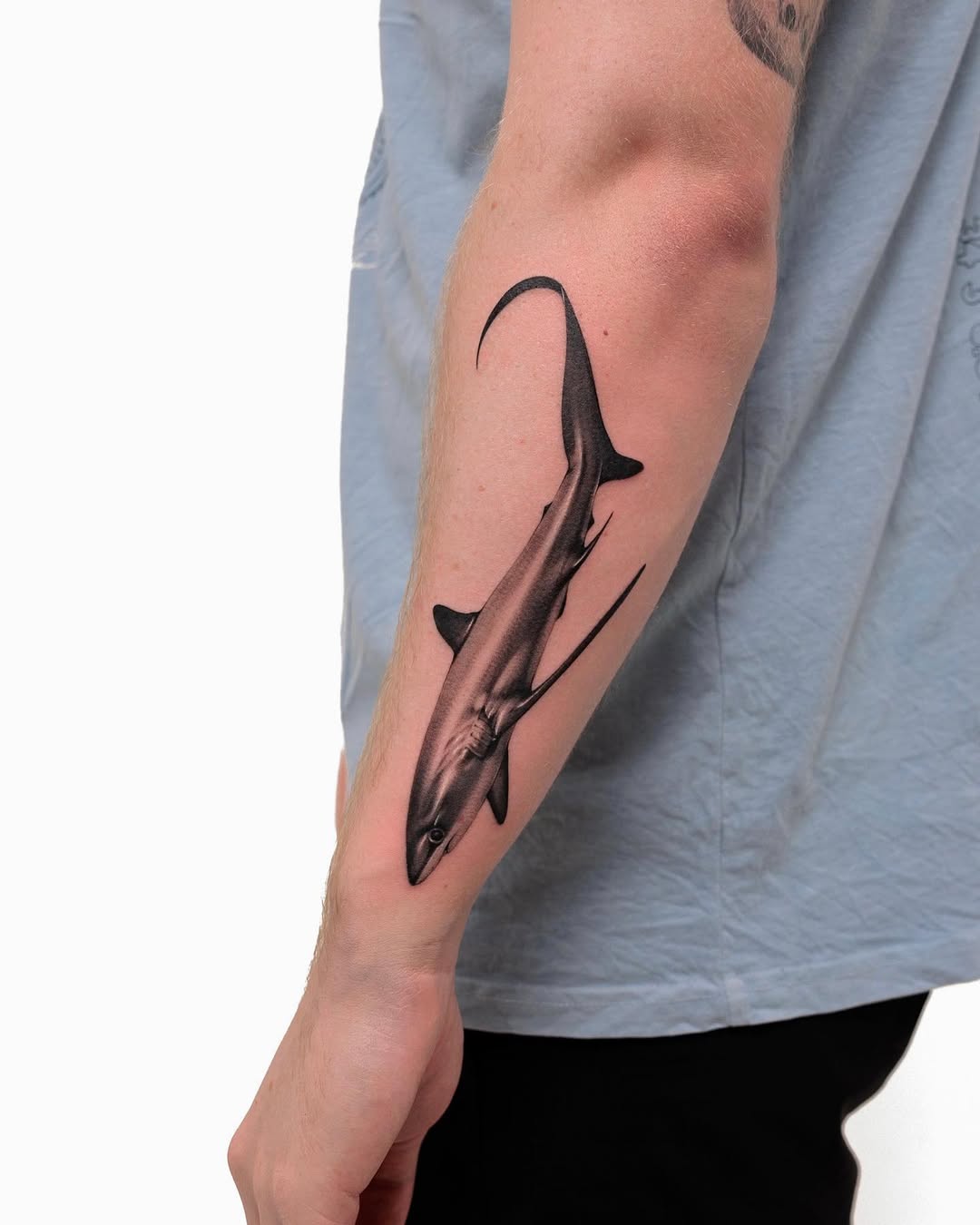 Stunning realistic shark tattoo on forearm Tattoo on skin