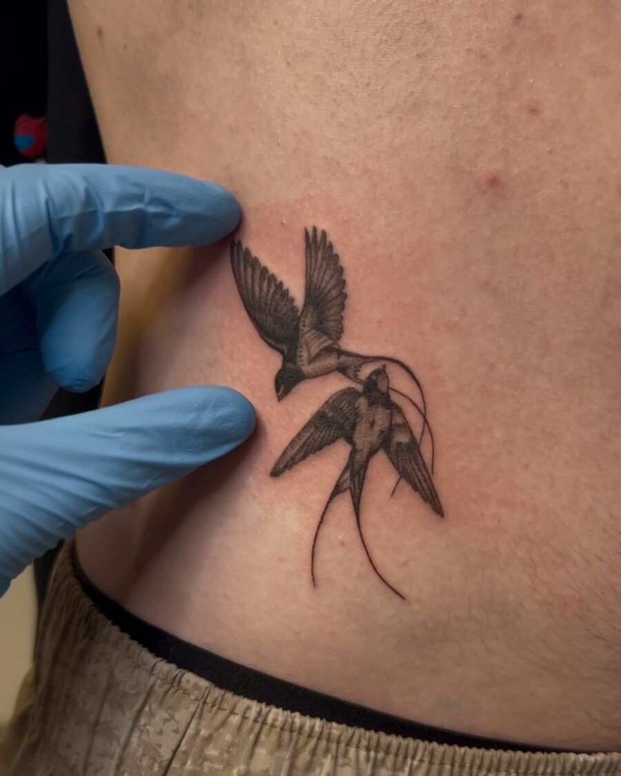 Eloquent swallow tattoo design on the stomach Tattoo on skin