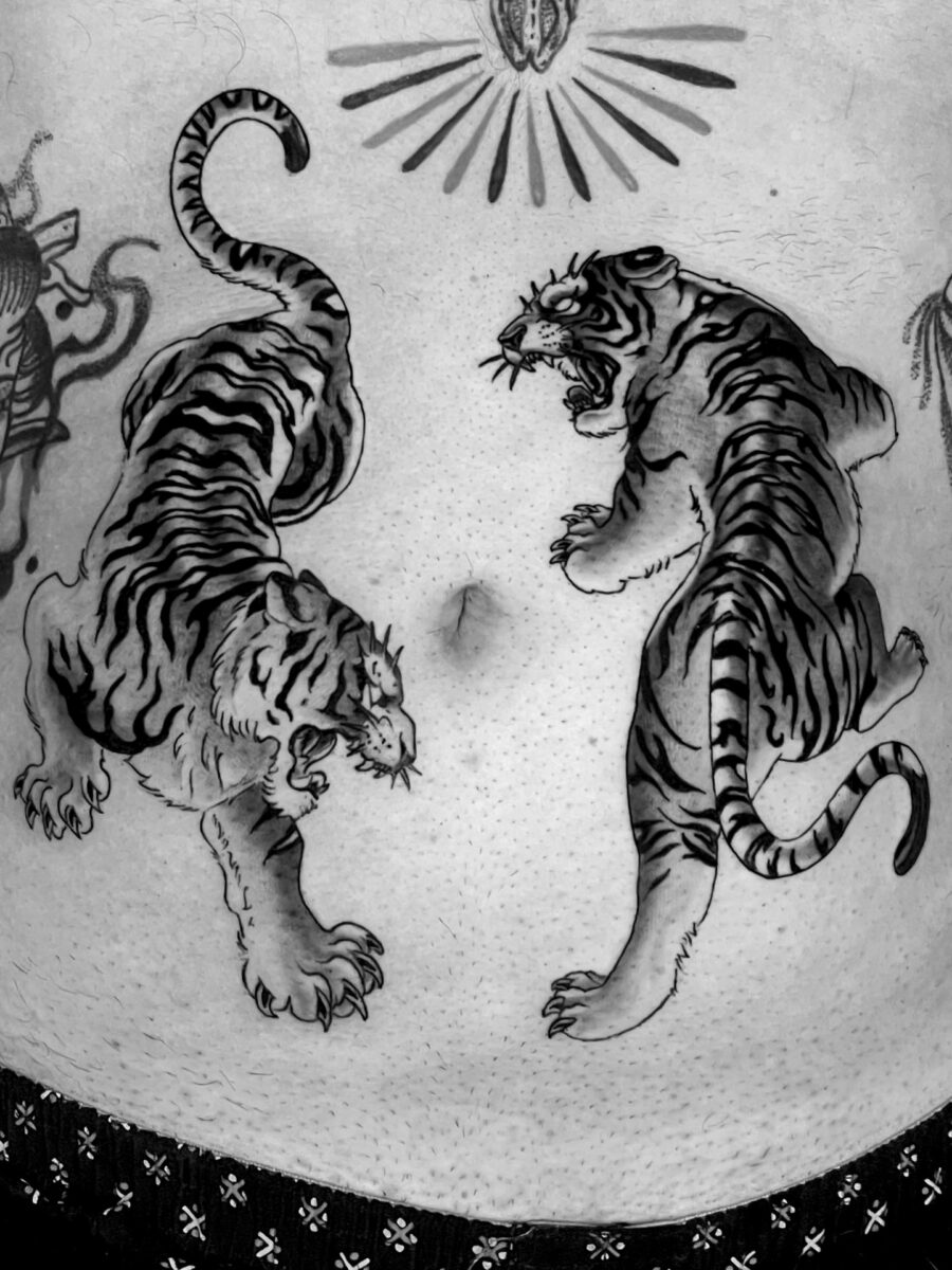Fierce tigers in a dynamic stomach tattoo design Tattoo on skin