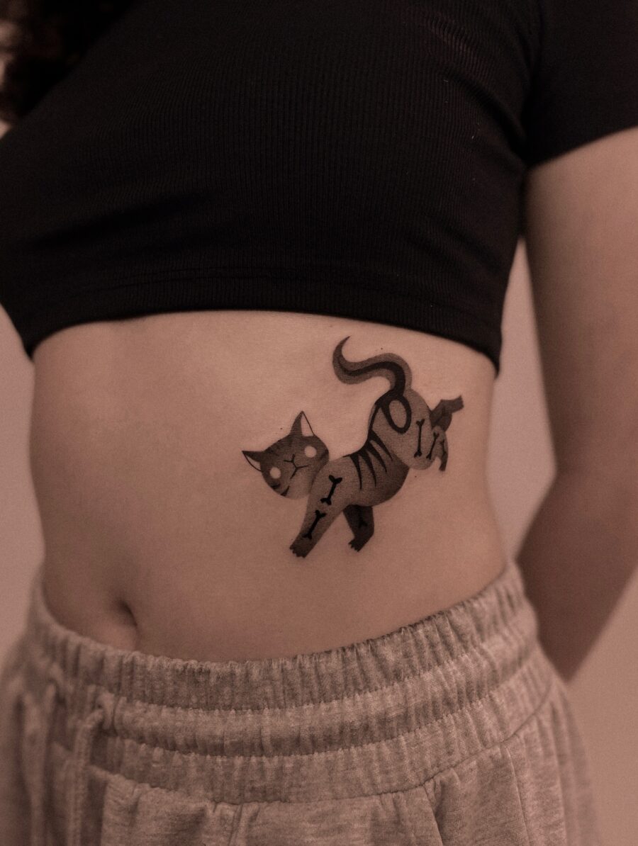 Stylish cat tattoo on the stomach Tattoo on skin