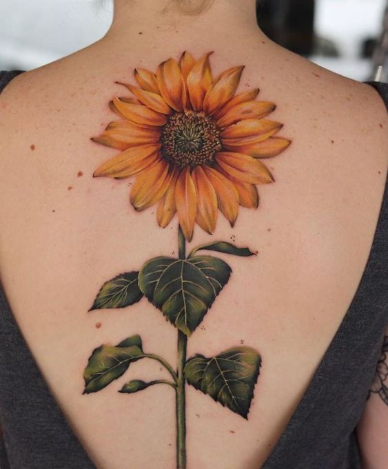 Extra Large Detailed Sunflower Back Tattoo Tattoo on skin