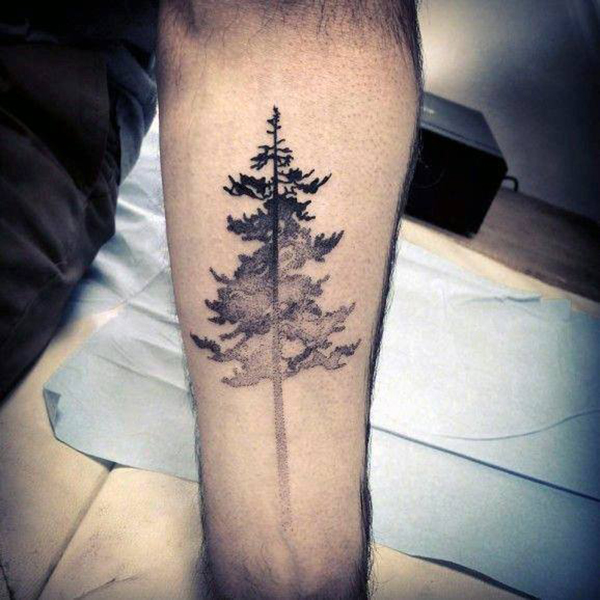 Towering Douglas Fir Forearm Fadeout Tattoo on skin