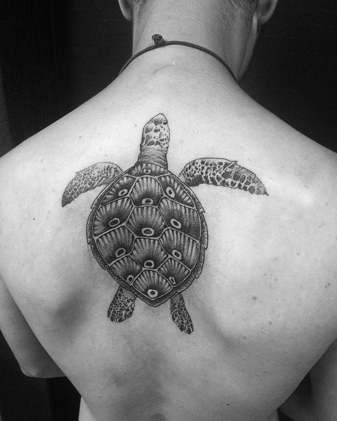 Detailed Sea Turtle on Upper Back Turtle Tattoos Tattoo on skin