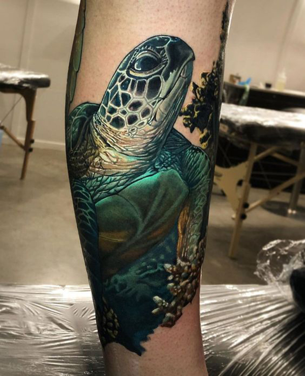 Realistic Green Sea Turtle Portrait Turtle Tattoos turtle tattoos
