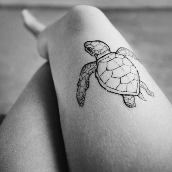 Sea Turtle Above the Knee Turtle Tattoos Tattoo on skin
