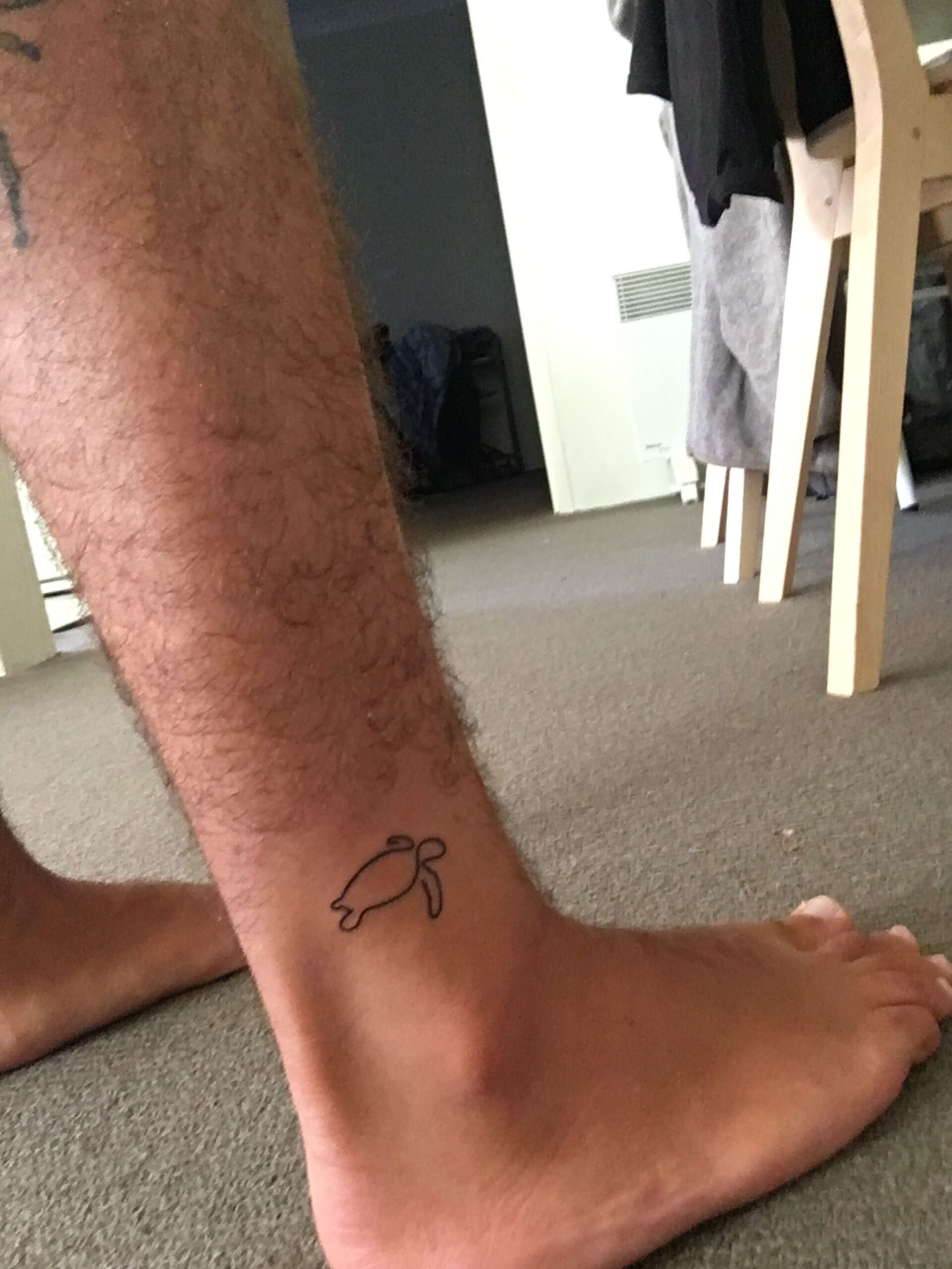 Tiny Sea Turtle Made of One Line Turtle Tattoos Tattoo on skin