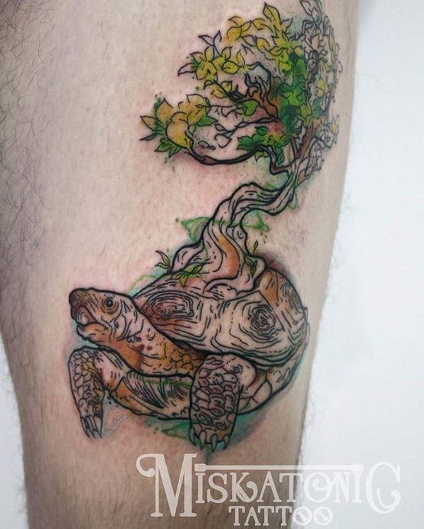 Tortoise with a Tree Growing on its Shell Turtle Tattoos Tattoo on skin