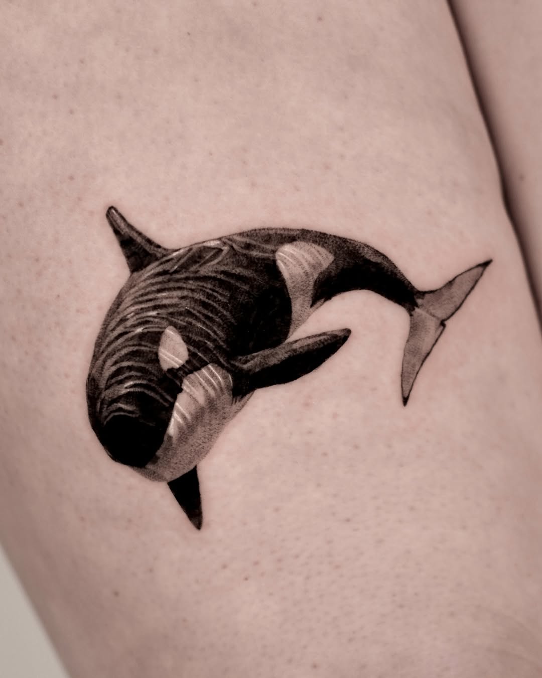 Stunning Minimalist Orca Tattoo for Arm Tattoo on skin