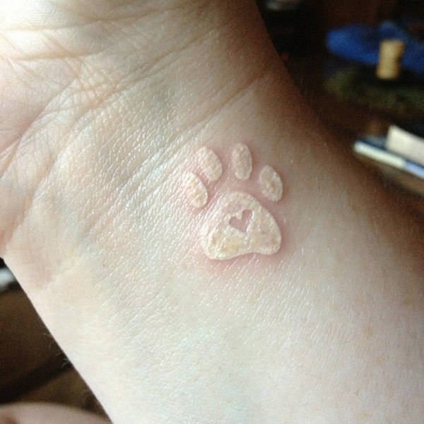 In Memory of Your Lost Pet White Ink Tattoo Tattoo on skin